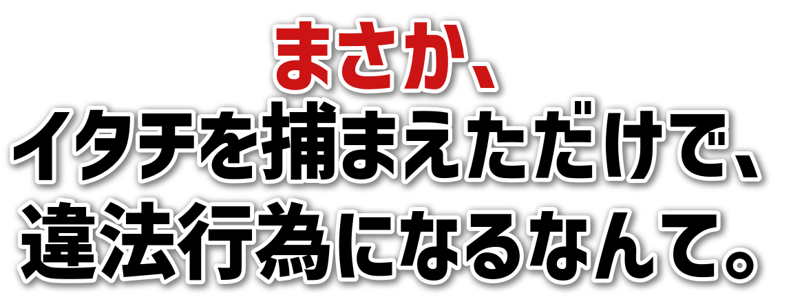 まさか、<br>イタチを捕まえただけで、<br>違法行為になるなんて。
